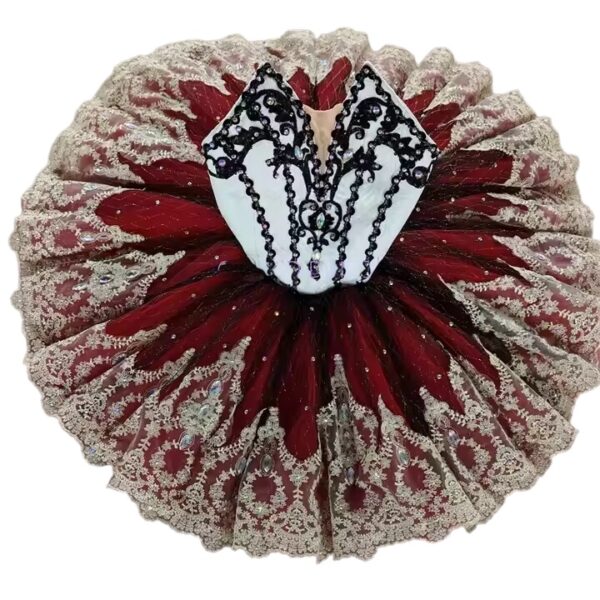 Don Quixote Ballet tutu